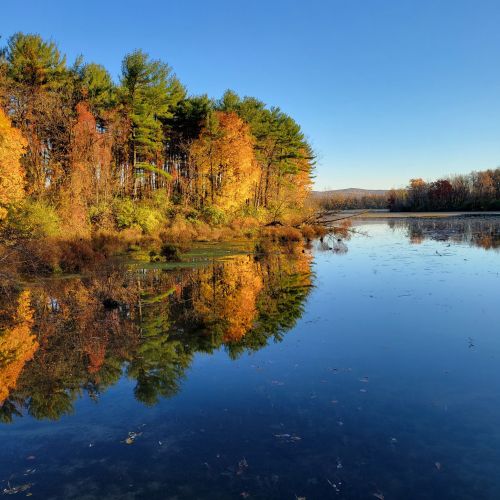 A serene landscape featuring colorful autumn trees reflecting in calm water under a clear blue sky.