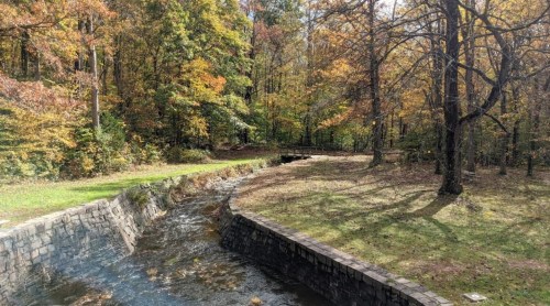 A serene stream flows through a colorful autumn forest, with trees displaying vibrant fall foliage.