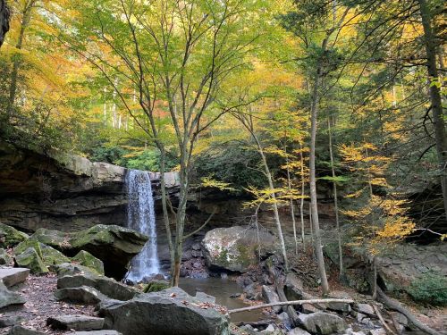 A serene waterfall cascades over rocks, surrounded by vibrant autumn foliage and tall trees in a peaceful forest setting.