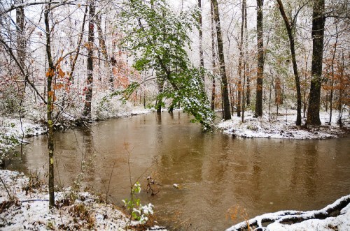 A serene winter scene of a creek surrounded by snow-covered trees and autumn leaves.