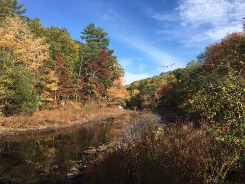 A serene river scene surrounded by colorful autumn foliage and clear blue skies.