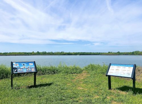 Two informational signs beside a grassy path leading to a calm water body, with a clear blue sky above.