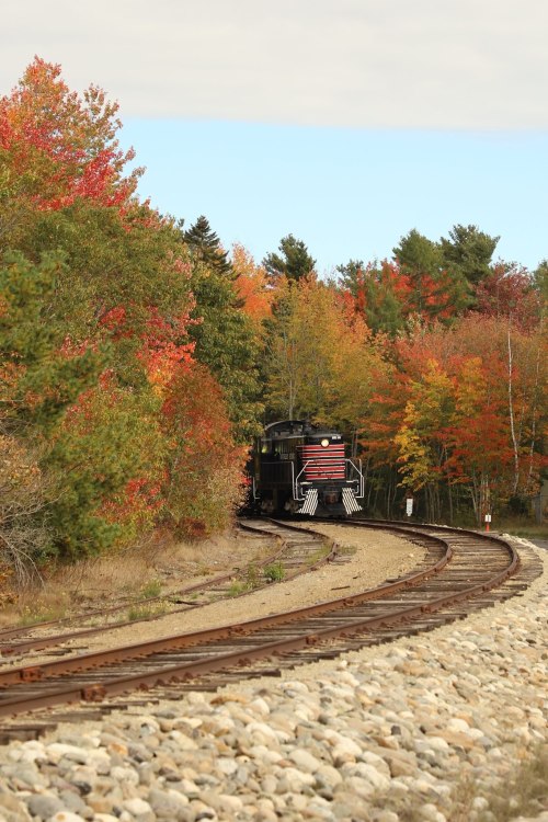 A train winds through a colorful autumn landscape with vibrant red and orange foliage along the tracks.