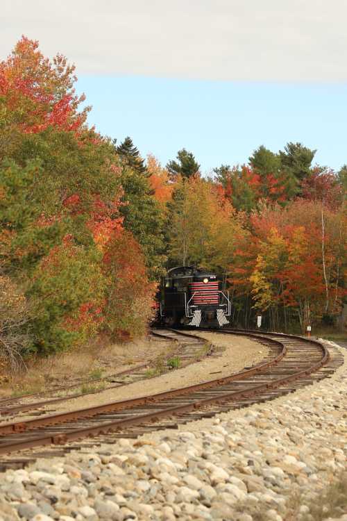 A train winds through a colorful autumn landscape with vibrant red and orange foliage along the tracks.