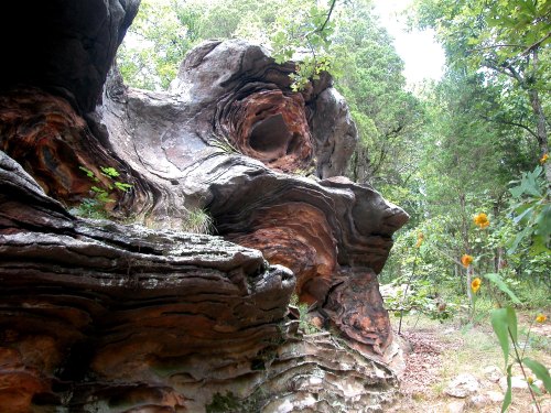 A unique rock formation with swirling patterns and greenery surrounding it in a natural setting.