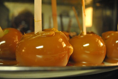 Close-up of caramel apples on a tray, with wooden sticks inserted, glistening with rich caramel coating.
