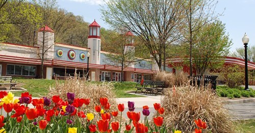 Colorful tulips in the foreground with a vibrant building and trees in the background on a sunny day.