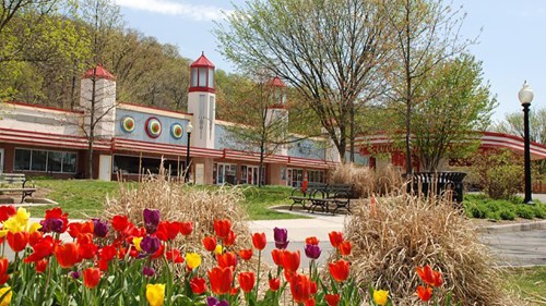 Colorful tulips in the foreground with a building featuring red and white stripes and decorative towers in the background.