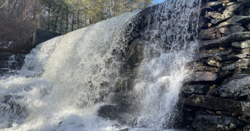 A cascading waterfall flows over a rocky surface, surrounded by trees and sunlight.