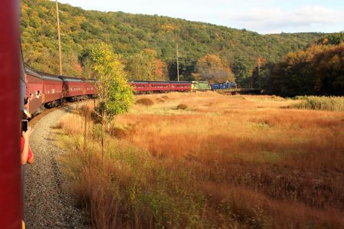 A train curves through a colorful autumn landscape with rolling hills and tall grasses.