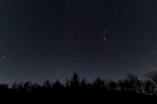 A starry night sky filled with stars, silhouetted by a dark tree line at the bottom.