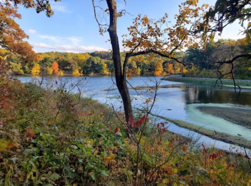 A serene lake surrounded by colorful autumn foliage and trees under a clear blue sky.