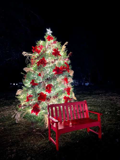 A brightly lit Christmas tree adorned with red flowers stands next to a red bench in a dark outdoor setting.
