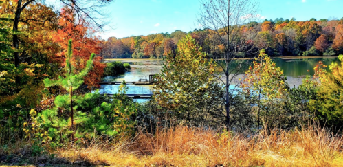 A serene lake surrounded by colorful autumn trees and tall grasses under a clear blue sky.