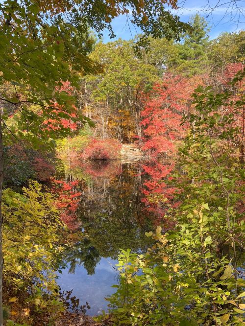 A serene pond surrounded by vibrant autumn foliage reflecting in the water.