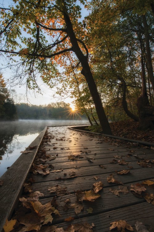 A serene wooden dock lined with autumn leaves, overlooking a misty lake at sunrise.