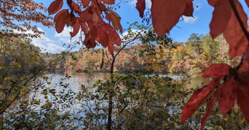 A serene river scene framed by vibrant autumn leaves in shades of red and orange, with trees reflecting on the water.
