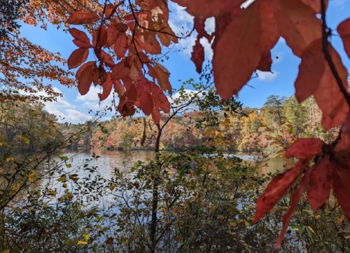Vibrant autumn leaves frame a serene lake surrounded by colorful fall foliage under a clear blue sky.