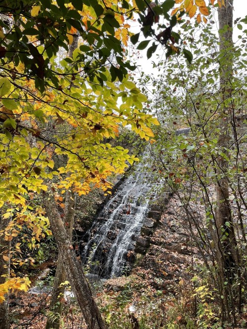 A small waterfall cascades down a stone structure, surrounded by autumn foliage and trees.