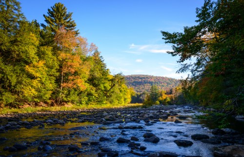 A serene river flows through a forest with vibrant autumn foliage and rocky banks under a clear blue sky.