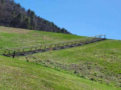 A wooden ramp leads up a grassy hill under a clear blue sky, surrounded by trees in the background.