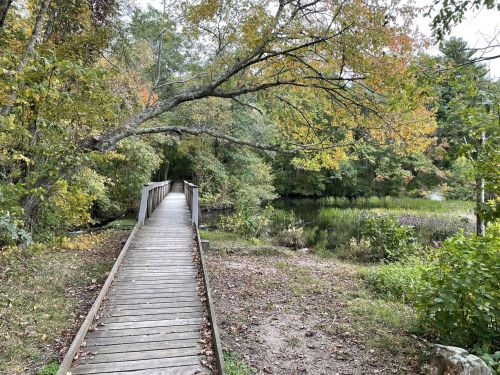 A wooden bridge leads through a serene landscape with trees and a calm pond, showcasing autumn colors.