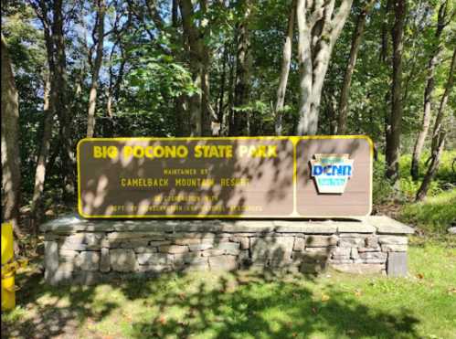 Sign for Big Pocono State Park, maintained by Camelback Mountain Resort, surrounded by trees and greenery.