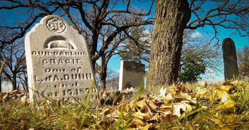 A weathered gravestone for Gracie, daughter of L.F.A. Dunn, surrounded by fallen leaves and trees under a blue sky.