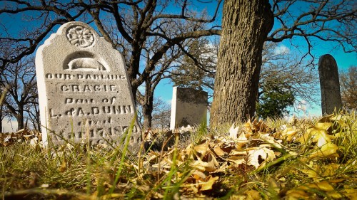 A gravestone for Gracie, daughter of L.A. Dunn, surrounded by autumn leaves and trees in a cemetery.