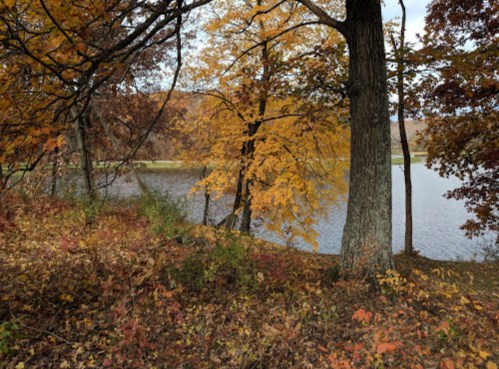 A serene lakeside scene with vibrant autumn foliage and trees reflecting in the calm water.