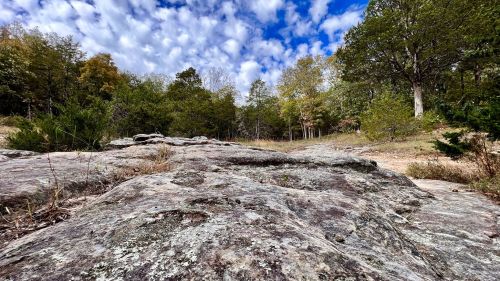 A rocky landscape with scattered trees and a blue sky filled with clouds.