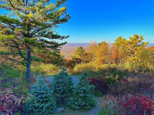 A scenic view of colorful autumn foliage and trees under a clear blue sky, with a winding path in the foreground.