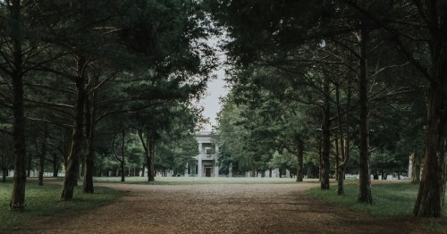 A pathway lined with trees leads to a building in the distance, surrounded by lush greenery.