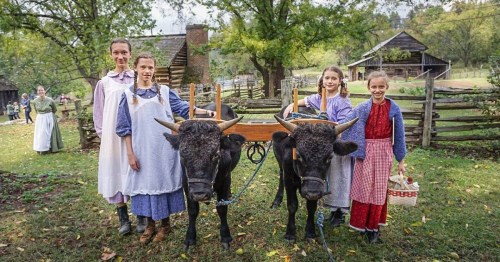 Four children in historical attire pose with two oxen in a rural setting, surrounded by a farm and trees.