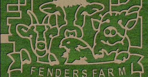 A grassy maze design featuring farm animals and the text "Fenders Farm."