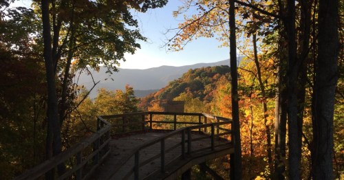A wooden walkway winds through vibrant autumn trees, with mountains in the background under a clear blue sky.