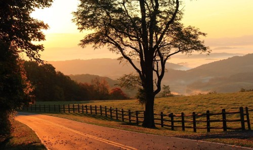 A winding road through a scenic landscape at sunrise, with trees and misty mountains in the background.