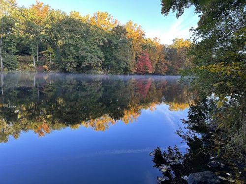 A serene lake reflecting colorful autumn trees under a clear blue sky. Mist hovers over the water's surface.