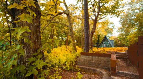 A serene autumn scene with vibrant yellow leaves, a rustic building, and a pathway through a wooded area.