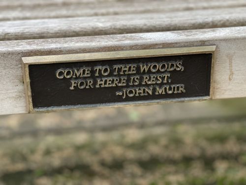 A plaque on a wooden bench reads, "Come to the woods, for here is rest." - John Muir.