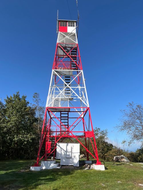 A tall red and white fire tower stands against a clear blue sky, surrounded by greenery.