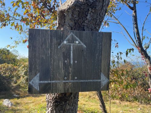A wooden sign on a tree with arrows pointing up and sideways, indicating directions in a natural setting.