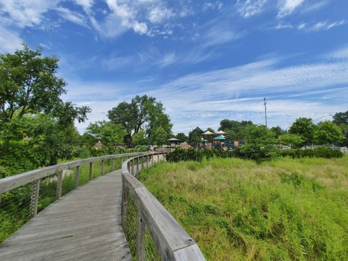 A winding wooden path through lush greenery under a blue sky with scattered clouds.