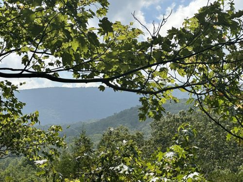 A scenic view of mountains framed by green leaves under a partly cloudy sky.