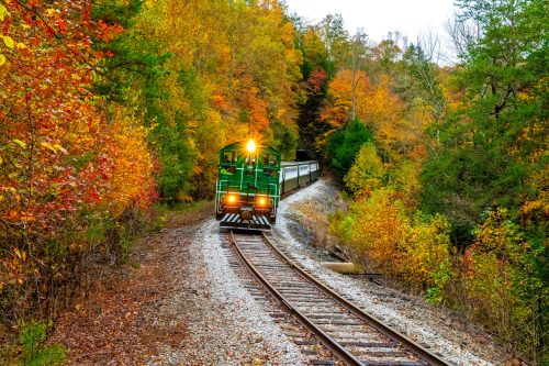 A green train approaches on a winding track surrounded by vibrant autumn foliage.