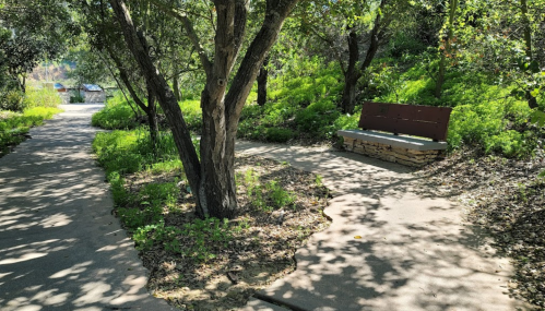 A peaceful park scene with a winding path, lush greenery, and a wooden bench under trees.