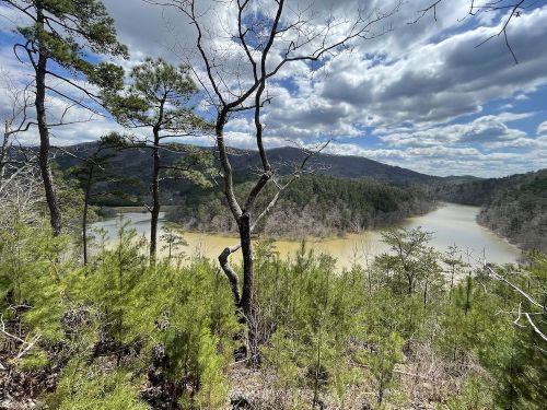 A scenic view of a river winding through a forested landscape under a partly cloudy sky.