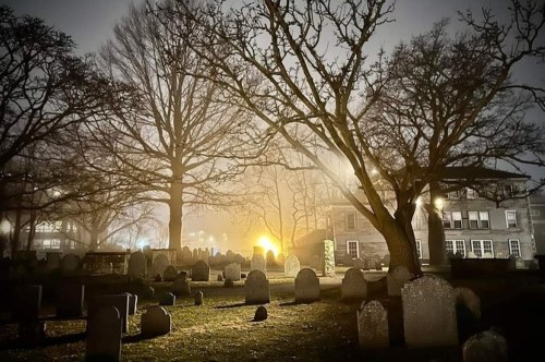 A foggy graveyard at night, with tombstones and bare trees illuminated by distant lights.