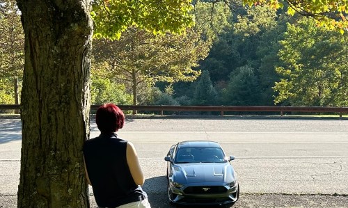 A person with short red hair leans against a tree, looking at a parked black sports car in a scenic outdoor setting.
