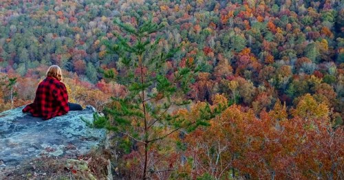 A person in a red plaid blanket sits on a rock, overlooking a vibrant autumn landscape filled with colorful trees.